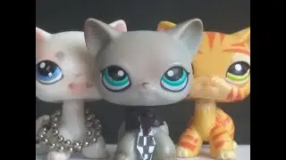 LPS сериал: ~ILLUSION~ 5 серия /// KRIS LPS 🌚