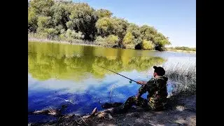 Рыбалка на  карася на поплавок НА ЧТО ? И КАК НАЛОВИТЬ КАРАСЯ