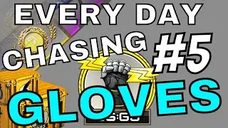 OPENING 1 CSGO Case EVERY Day Until I GET GLOVES (DAY #5)