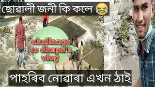 Chellange to dimpu's vlog/Dimpu baruah. Waterfall vlog by Habib #tech