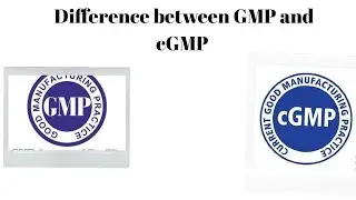 Difference between GMP and cGMP