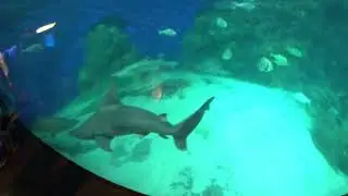 Denver Aquarium