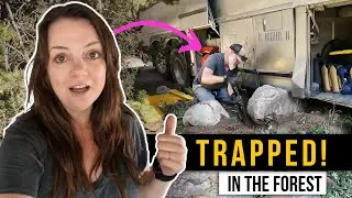 Is This the End of Buslife? Part 2
