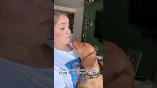 Le hago una BROMA a mi PERRO (finjo desmayarme) 🐶😱