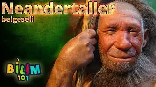 NEANDERTALLER - İlk İnsanlar | Kısa Belgesel