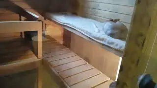 Сфинкс Елизабет