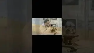 Первое пиво