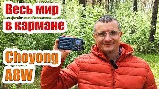 Radio receiver Choyong A8W test and review
