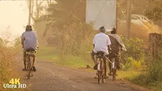 Walking around my Village 4K Ultra HD - Peaceful Village Life in Andhra Pradesh | Relaxing Video