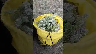 Упущенное время не вернуть