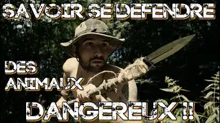 SURVIVRE DANS LA NATURE #17 (Défendre son Camp)