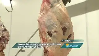 Aumentó la faena de ganado bovino