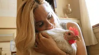 Penelope: A Rescue Story