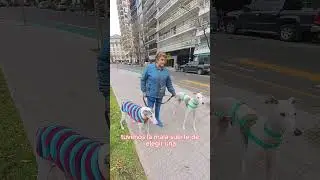 otos a Eros y Napoleon! Gracias por toda la buena onda y por el video.