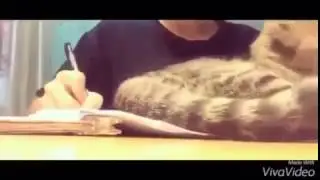Как объяснить учителю, почему я не сделал домашнее задание?