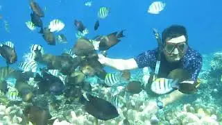 Tahan Napas #olele #snorkeling