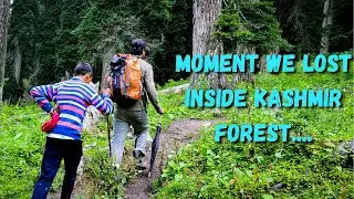 TREK TO TULIAN THROUGH DEEP FOREST ! | BUDGET TRIP TO KASHMIR FROM LPU  | PART-5 | MALAYALAM