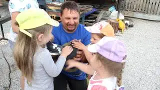 Голуби 