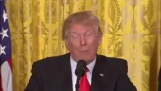 Donald Trump explaining what uranium is