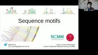 A Primer on Sequence Motifs by Dr. Jaime Castro Mondragón