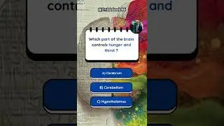 Which part of the brain controls hunger and thirst ?