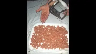 Kitchen tool for meatballs Poldino Polpettino - demonstration video - shopmancini.com