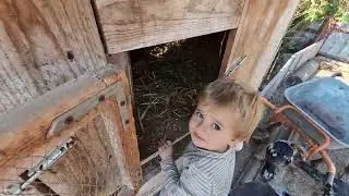 кормление кроликов) сколько осталось?