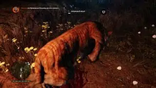 Far Cry Primal Охота на Кровавого Клыка и чутка гринда