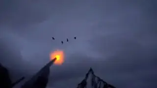 Охота на гуся/Налеты