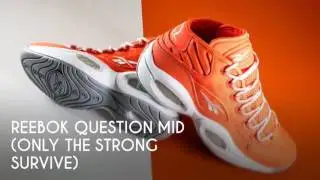 REEBOK QUESTION MID (ONLY THE STRONG SURVIVE) / PEACE X9