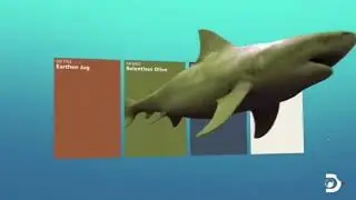 Sherwin Williams Shark Week Promo