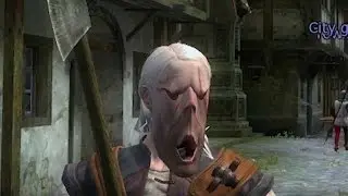 В THE WITCHER 3 НЕТУ БАГОВ