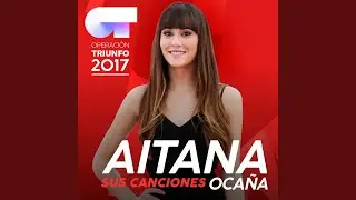 Lucha De Gigantes