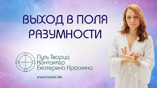 Выход в поля разумности
