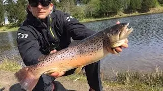 Рыбалка на Форель Дания/Forellenangeln Dänemark 30.04.2017