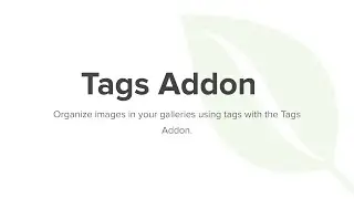 Envira Gallery Tags Addon