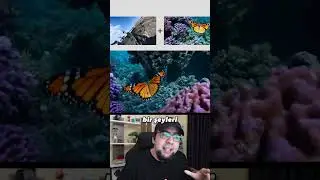 İki Farklı Videoyu Yapay Zeka İle Birleştirmek...