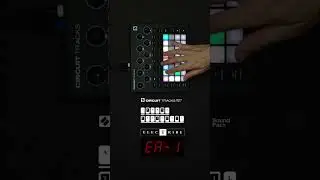 ELECTRIBE EA-1 #CIRCUITTRACKS #NOVATION
