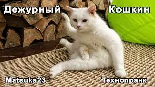 Matsuka23 | Дежурный Кошкин | Рождение мема 