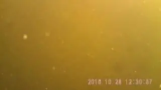 1-es tó 2017.05.25.