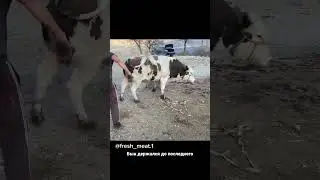 Дагестанские авиалинии часть 3 