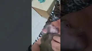 Вот такая говорушка Никушка !🤣🤣🤣