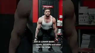 The Best Split For Size AND Strength!