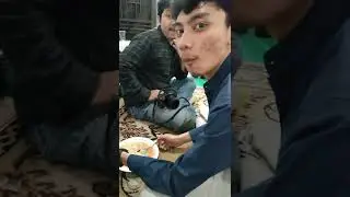Pasukan Takut Lapar