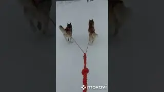 😜😜😜