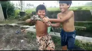 Wow..! Mandi Di Kolam Serok Ikan Lele Se Gedhe Lengan