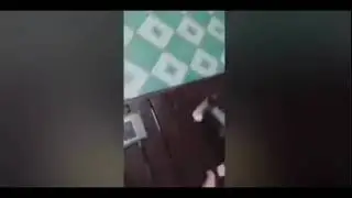CAT OPENING GHOST LUCKY DRAW - CODM