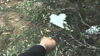 Κόκκινος Κύκλος - Το Χάρισμα S01E08 Part 1