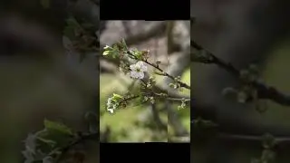 ЧУДЕСНОГО ДНЯ ! ... 