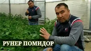 КАСАЛЛАНГАН ПОМИДОР ОЛДИНИ ОЛИШ ХАКИДА МУТАХАСИС МАСЛАХАТИ